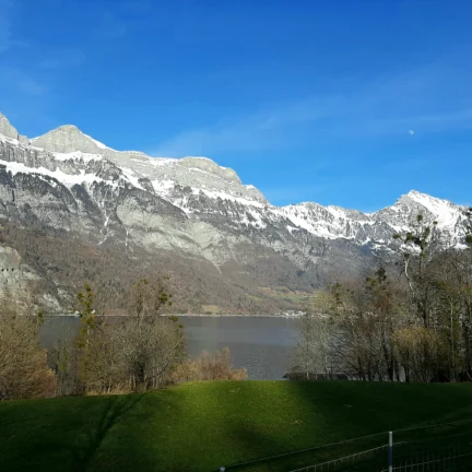 Trauerredner in der Region Walensee - Zen Meister Vater Reding