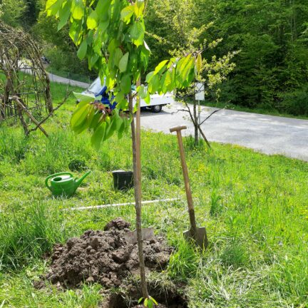 Abdankungsredner - Nidwalden - Zen Meister Reding