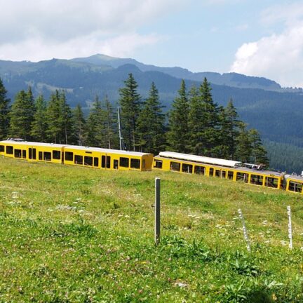 Grindelwald - Beerdigung und Abschiedsfeier bei Eiger, Mönch & Jungfrau