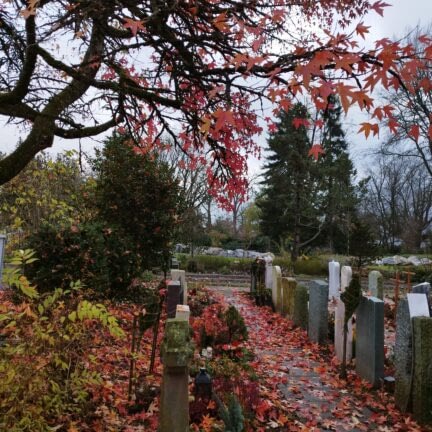 Trauerfeier in der Stadt Zürich - Friedhof Hönggerberg mit Trauerredner - Zen Meister Vater Reding