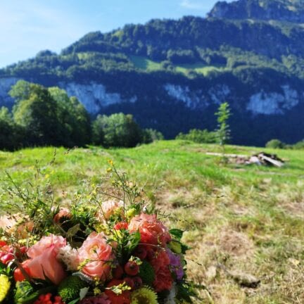 Beerdigung - Trauerredner Zen Meister Vater Reding - Seelisberg Uri