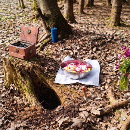 Ritual im Wald mit Schale und Kiste