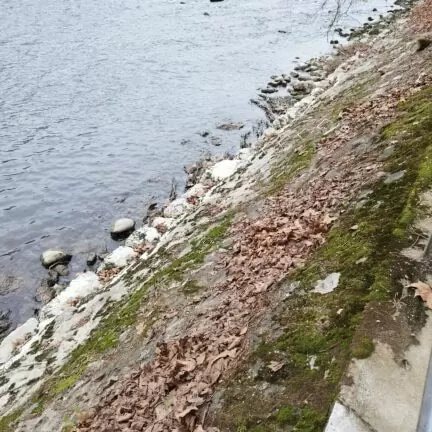 Asche verstreuen am Fluss - Limmat Baden - Trauerredner - Zen Vater Meister Reding