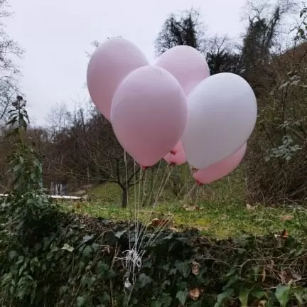 Asche verstreuen am Fluss - Limmat Baden - Trauerredner - Zen Vater Meister Reding